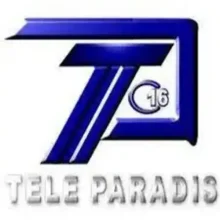 Radio Télé Paradis 104.7 Logo FM