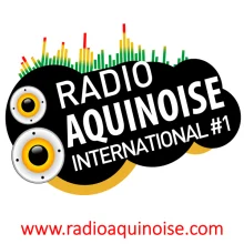 Radio Aquinoise International Logo