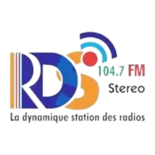 Radio Ds FM 104.7 Logo