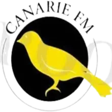Logo de Radio Îles Canaries