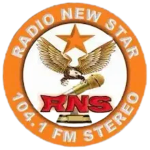 Radio New Star FM Logo