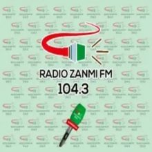 Radio Zanmi FM Logo