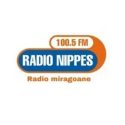Radyo Nipes FM