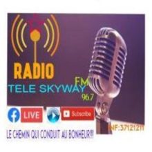 Radio Tele Skyway Logo