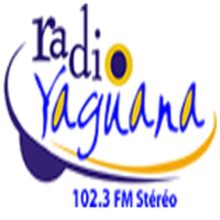 Yaguana FM 102.3 Logo