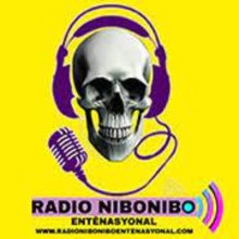 Radio Nibonibo Entènasyonal Logo