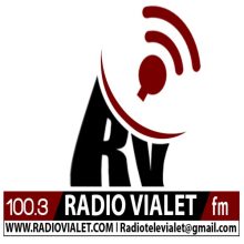 Radio Vialet FM 100.3 Logo